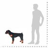 Produkt-Miniaturbild 4 von 5