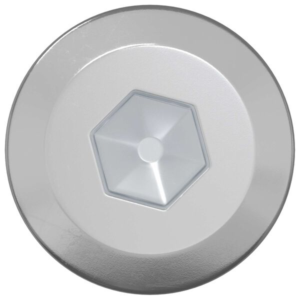 vidaXL Holzschrauben 2 pcs Silber M6 x 70 mm Stahl