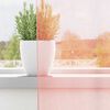 Produkt-Miniaturbild 3 von 8