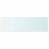 vidaXL Regalb&ouml;den 2 Stk. Glas Transparent 80x25 cm