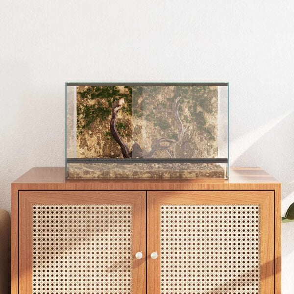 vidaXL Terrarium mit Speicher Transparent 50 x 30 x 30 cm Glas