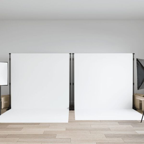 vidaXL Hintergrundstative 2 Stk. Schwarz 305x243 cm Stahl