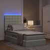 vidaXL Bett mit Stauraum und LED mit LED Hellgrau 100 x 200 cm Samt