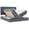 vidaXL LED-Speicherbett mit Matratze Dunkelgrau 180 x 200 cm Samt