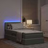 vidaXL Bett mit Stauraum und LED mit LED Hellgrau 90 x 190 cm Samt