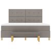 vidaXL Boxspringbett mit Matratze Taupe 180 x 200 cm Stoff