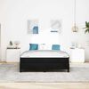 vidaXL Boxspringbett mit Matratze Schwarz 160 x 210 cm Stoff