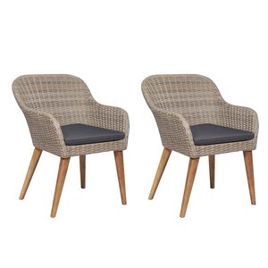 vidaXL Gartenst&uuml;hle mit Polstern 2 Stk. Poly Rattan Braun
