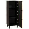 vidaXL Seitenschrank mit Speicher Schwarz und Gold 40 x 33,5 x 110 cm