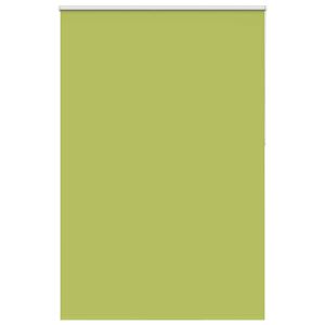 vidaXL Verdunkelungsrollo Gr&uuml;n 165x230cm Stoffbreite 161,6cm Polyester