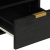 vidaXL TV-Schrank Schwarz 70x33x46 cm Holzwerkstoff