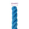 vidaXL Arbeitsseil Blau 20 mm 50 m Polypropylen