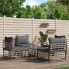 vidaXL 5-tlg. Garten-Lounge-Set mit Kissen Anthrazit Poly Rattan