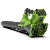 Greenworks Laubbl&auml;ser-Kit 40 V 4 Ah
