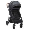 vidaXL 2-in-1 Kinderwagen Anthrazit und Schwarz Stahl