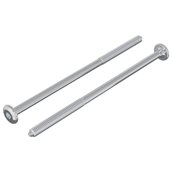 vidaXL Schraube 2 pcs Silber M6 x 120 mm Stahl