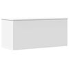 vidaXL Truhe Wei&szlig; 100x42x46 cm Holzwerkstoff