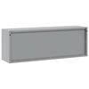 vidaXL Werkzeugschrank mit Speicher Rot und Grau 100 x 25 x 35 cm
