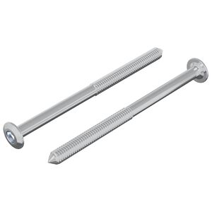 vidaXL Schraube 2 pcs Silber M6 x 85 mm Stahl
