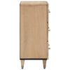 vidaXL Beistellschrank 60x33x75 cm Massivholz Mango