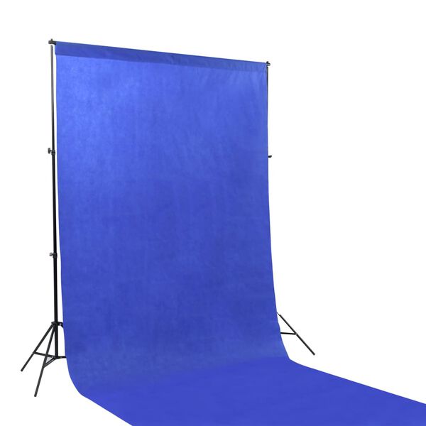 vidaXL Fotostudio-Set mit Hintergrund und Softbox-Leuchte