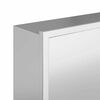 vidaXL Duschnische Silber 60 x 20 x 9.5 cm Edelstahl