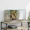 vidaXL Terrarium mit Speicher Transparent 60 x 40 x 40 cm Glas