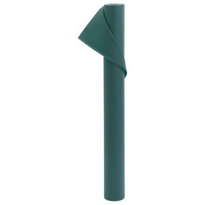 vidaXL Wintervlies 70 g/m&sup2; 10x1,6 m