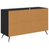 vidaXL Sideboard Schwarz Eichen-Optik 100 x 36 x 60 cm Holzwerkstoff