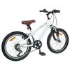 vidaXL Kids Mountain Bike 20 Zoll 6-Speed f&uuml;r 5-8 Jahre alt Wei&szlig;