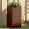 vidaXL Pflanzk&uuml;bel 2 Stk. Braun 30x30x60 cm Poly Rattan