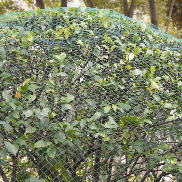 vidaXL Vogelschutznetze 5 Stk 4x10 m PE