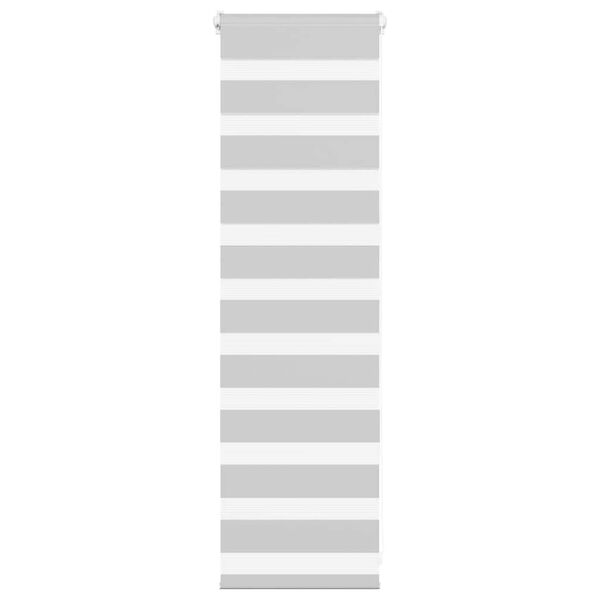 vidaXL Doppelrollo Hellgrau 40x100 cm Stoffbreite 35,9 cm Polyester