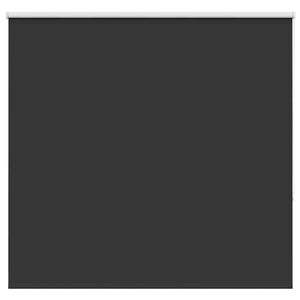 vidaXL Verdunkelungsrollo Schwarz 165x175 cm Stoffbreite 161,6 cm