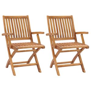 vidaXL Klappst&uuml;hle, 2 St&uuml;ck, Massivholz Teakholz