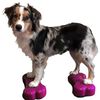 FitPAWS Gleichgewichtstrainer Mini K9FITbone 2 Stk. 29x16,5x6 cm