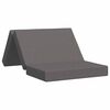 vidaXL Klappsofa Bett 100 x 67 x 45 cm Hellgrau