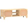 vidaXL TV-Schrank 120×30×40 cm Raues Mangoholz