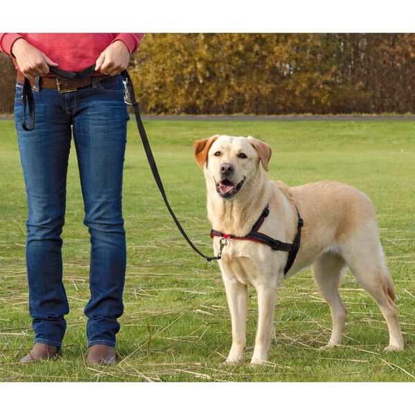 TRIXIE Hundegschirr Lead'n'Walk Soft Gr&ouml;&szlig;e L-XL 65-105 cm Schwarz 13057