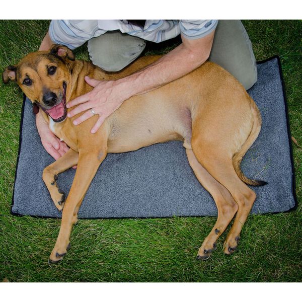 FitPAWS Hundematte K9FITbed M/L Grau