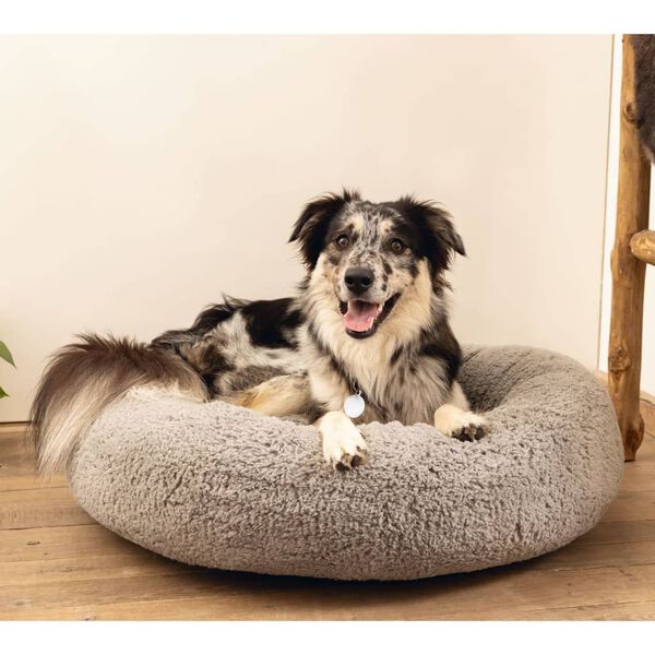 Beeztees Hundebett Jaxx Memory-Schaum 60x25 cm Grau
