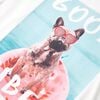 Produkt-Miniaturbild 5 von 7