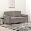 vidaXL 2-Sitzer-Sofa mit Kissen Hellgrau 140 cm Samt