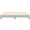 vidaXL Boxspringbett ohne Matratze Hellgrau 200x210 cm Samt