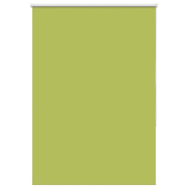 vidaXL Verdunkelungsrollo Gr&uuml;n 100x150cm Stoffbreite 95,7 cm Polyester