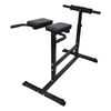 Twist Bauchtrainer R&uuml;ckentrainer Fitnessger&auml;t Fitness