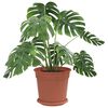 Produkt-Miniaturbild 3 von 12