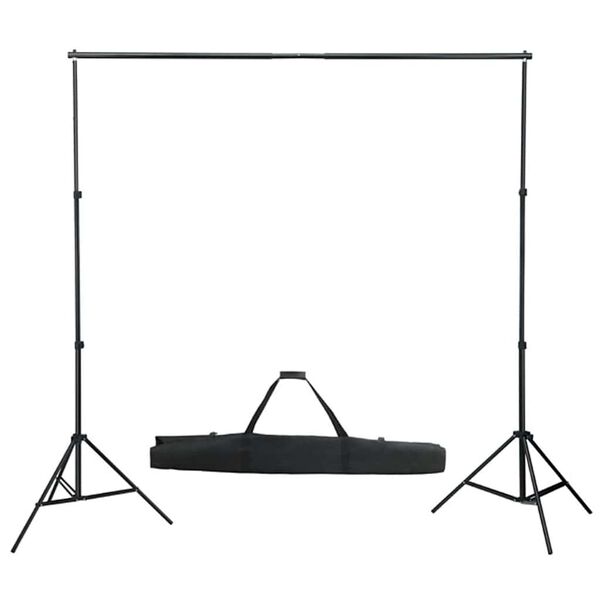 vidaXL Fotostudio-Set mit Beleuchtung und Hintergrund