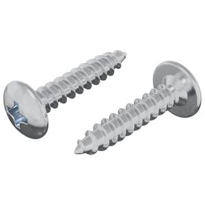 vidaXL Selbstschneidender Nagel 2 stk. Zink-beschichtet 4 x 20 mm