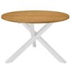 vidaXL Esstisch Wei&szlig; 120x75 cm MDF